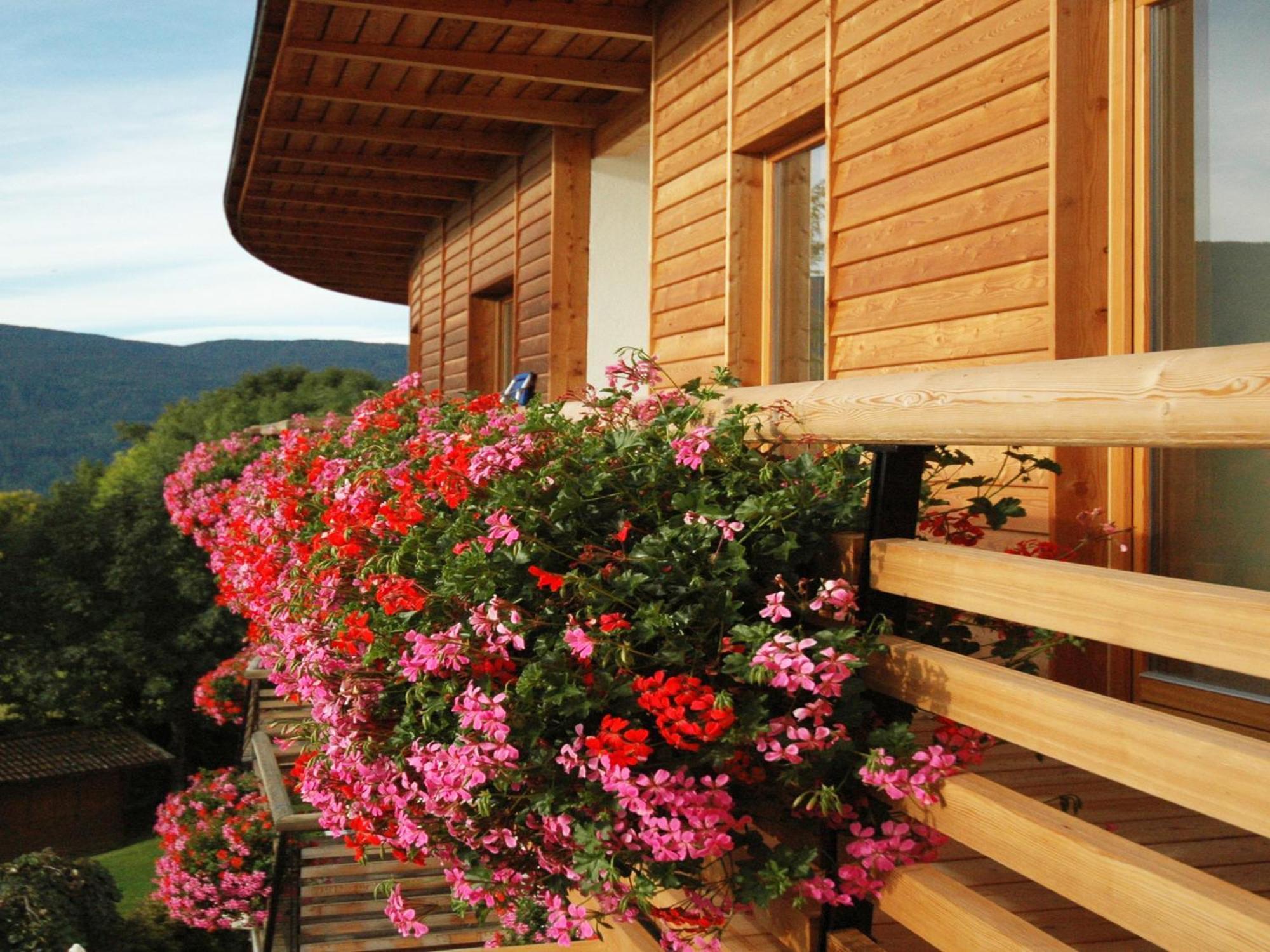 Hotel Dolomitenblick Terento Esterno foto